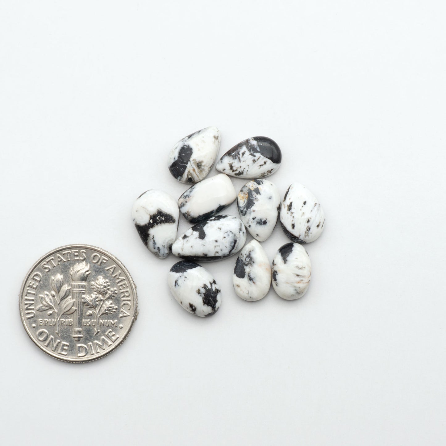 White Buffalo stone cabochons, white stone with black matrix, polished stones on a white background, with a US dime for scale