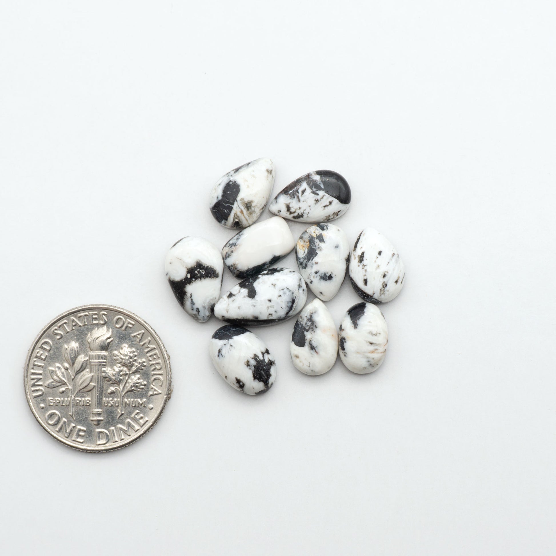 White Buffalo stone cabochons, white stone with black matrix, polished stones on a white background, with a US dime for scale