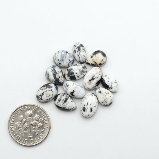 White Buffalo stone cabochons, white stone with black matrix, polished stones on a white background, with a US dime for scale