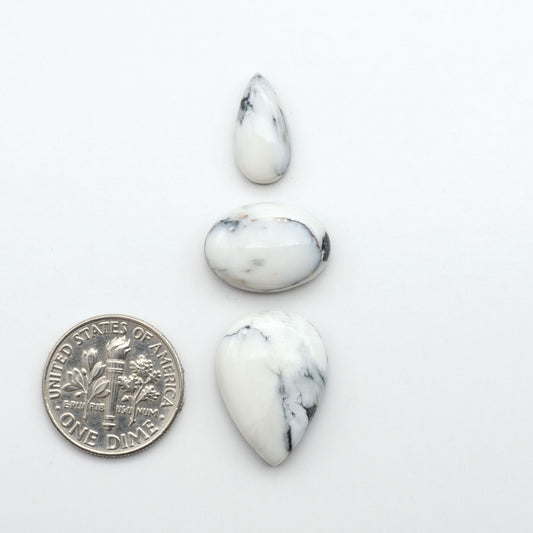 White Buffalo stone cabochons, white stone with black matrix, polished stones on a white background, with a US dime for scale