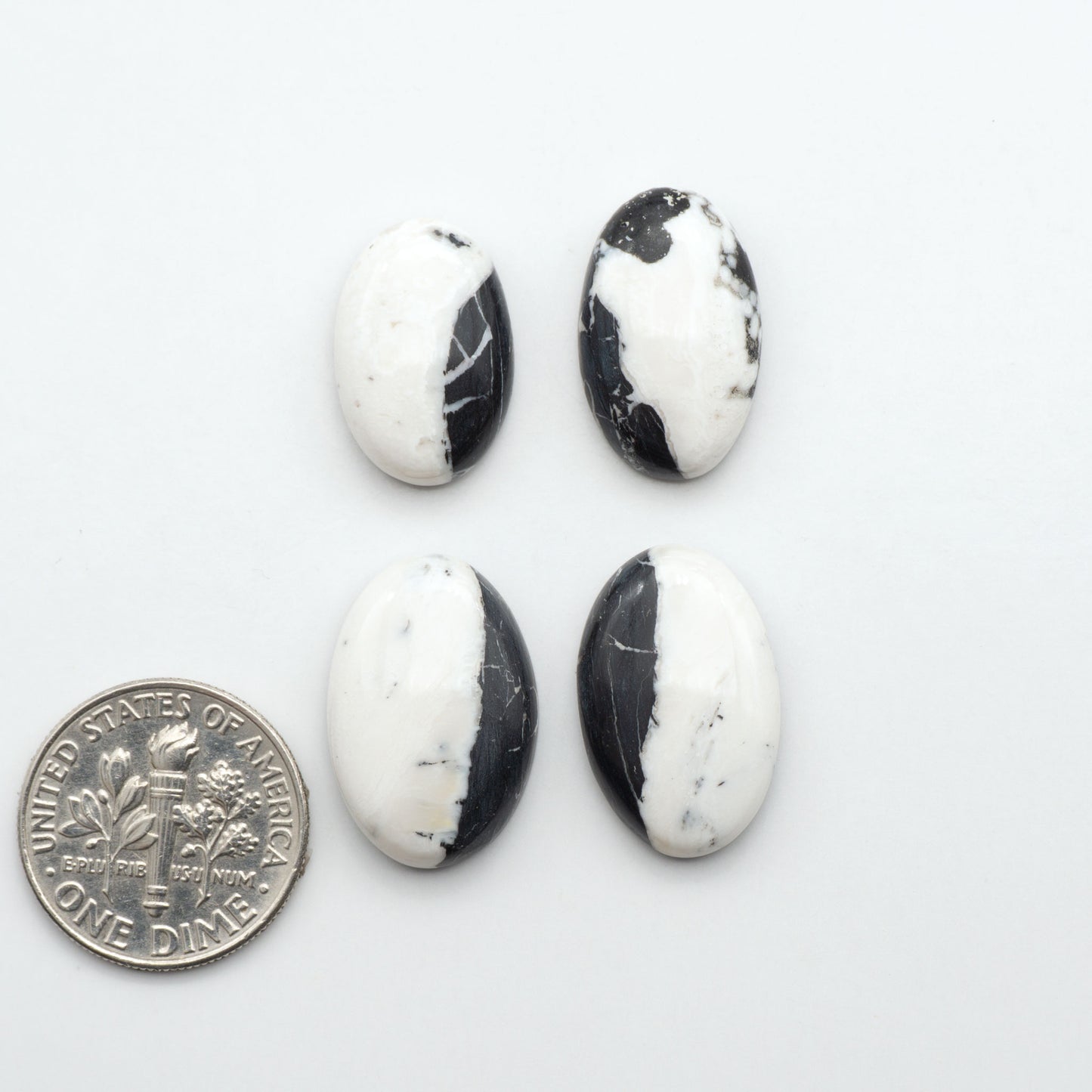 White Buffalo stone cabochons, white stone with black matrix, polished stones on a white background, with a US dime for scale