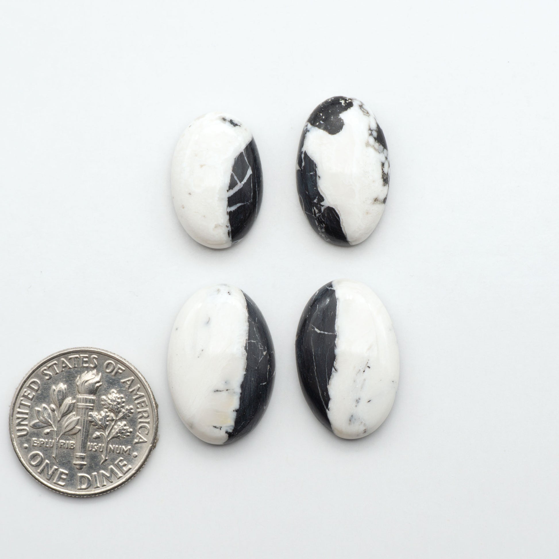 White Buffalo stone cabochons, white stone with black matrix, polished stones on a white background, with a US dime for scale