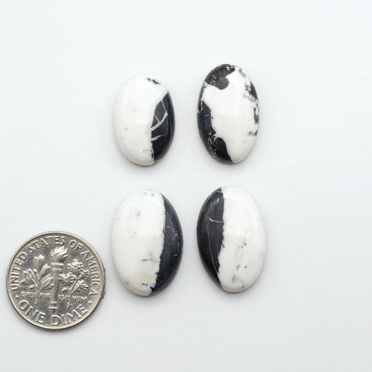 White Buffalo stone cabochons, white stone with black matrix, polished stones on a white background, with a US dime for scale