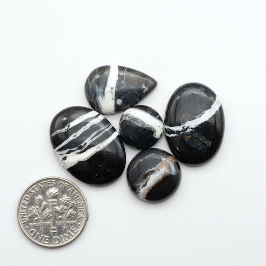 White Buffalo stone cabochons, white stone with black matrix, polished stones on a white background, with a US dime for scale