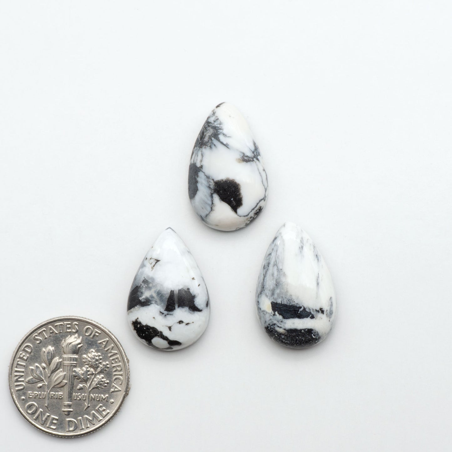 White Buffalo stone cabochons, white stone with black matrix, polished stones on a white background, with a US dime for scale