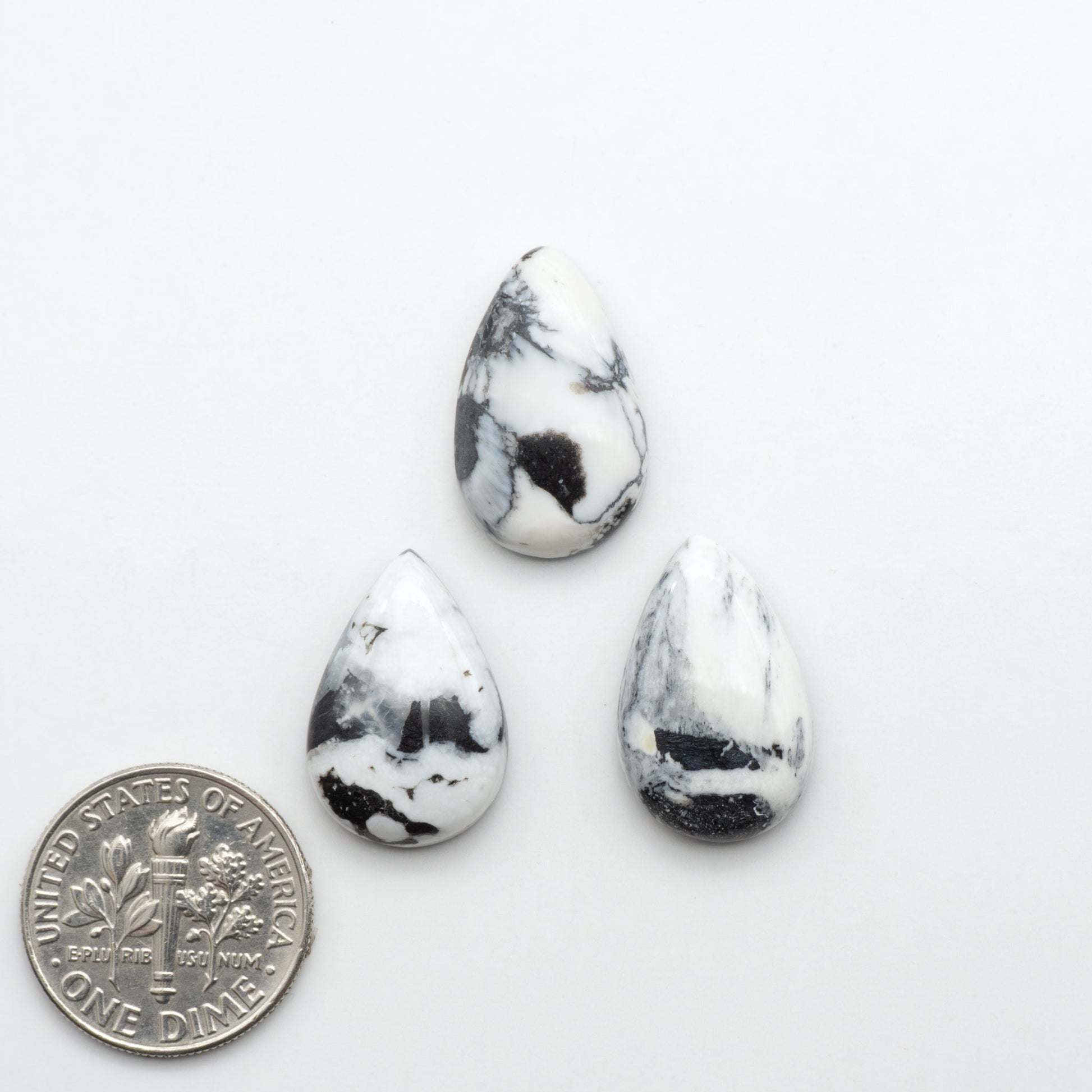 White Buffalo stone cabochons, white stone with black matrix, polished stones on a white background, with a US dime for scale