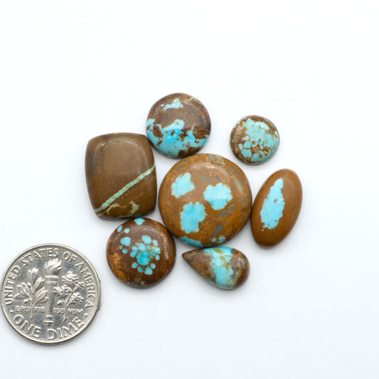 Number 8 Turquoise cabochons, blue and green color with brown matrix, polished stones on a white background, with a US dime for scale