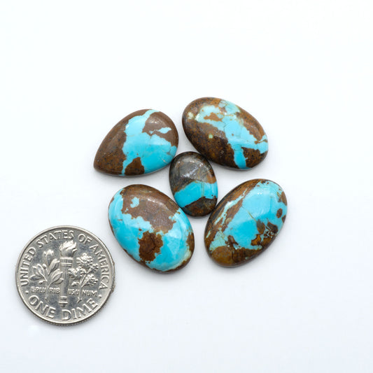 Number 8 Turquoise cabochons, blue and green color with brown matrix, polished stones on a white background, with a US dime for scale