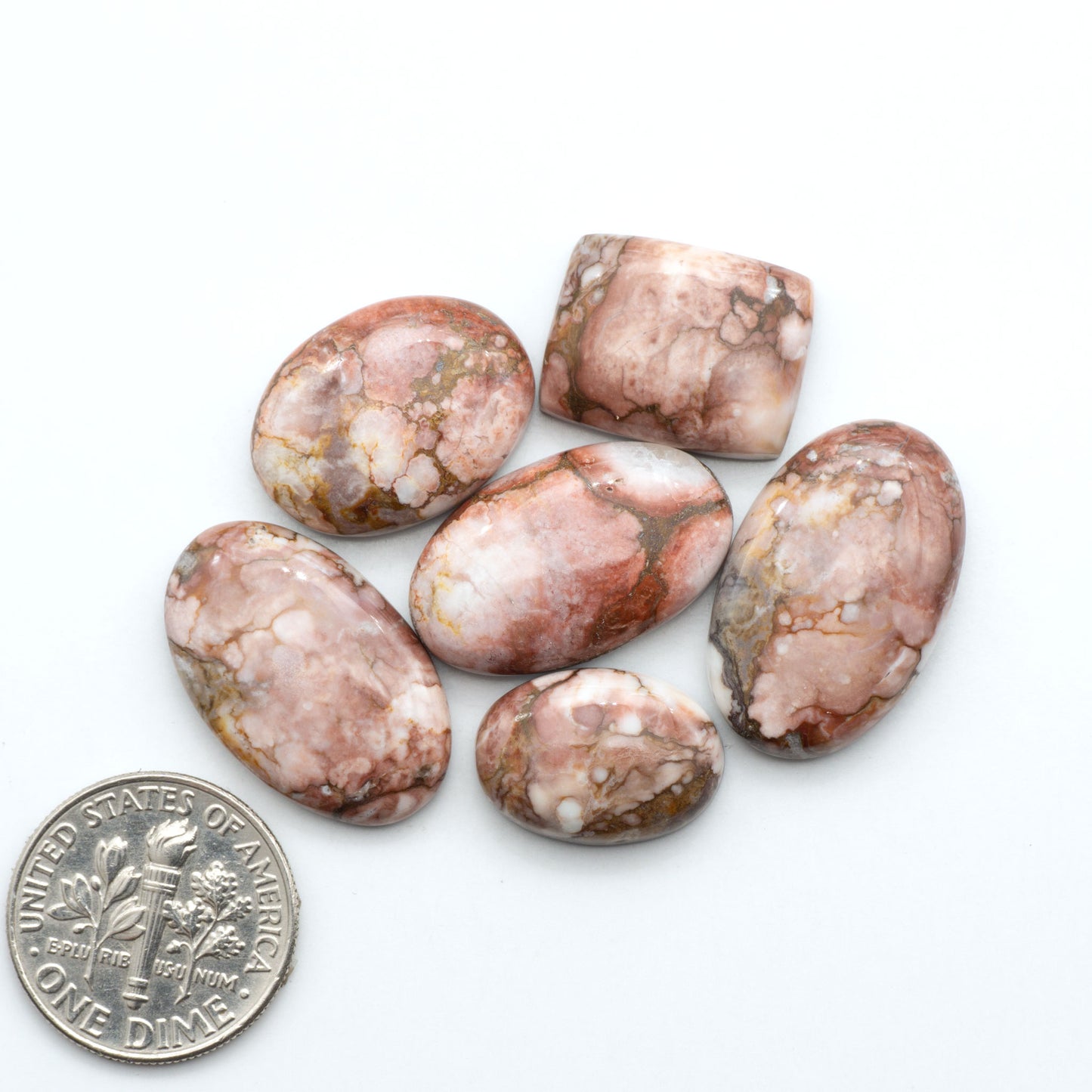 Wild Horse Magnesite cabochons, white gemstones with brown matrix on a white background, with a US dime for scale
