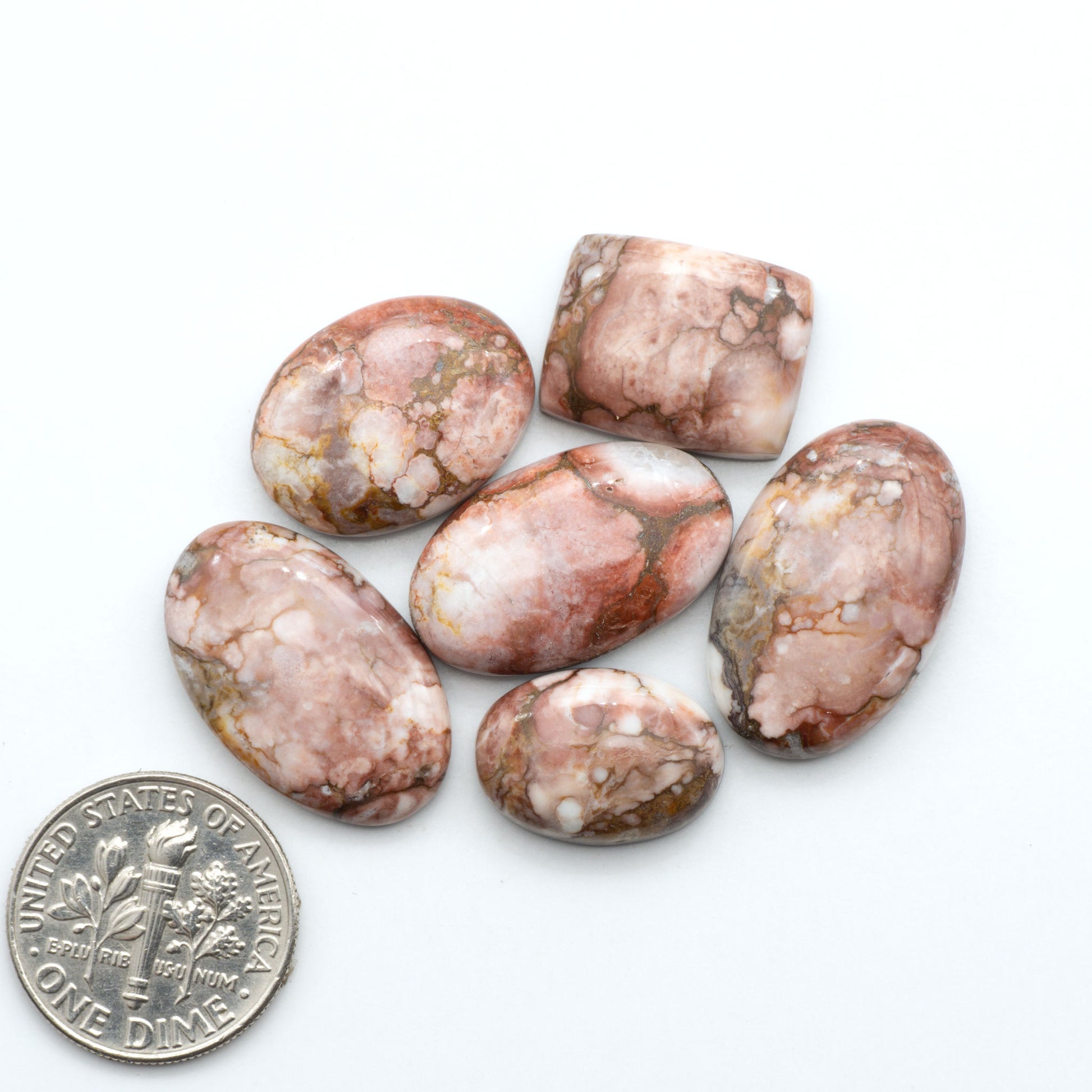 Wild Horse Magnesite cabochons, white gemstones with brown matrix on a white background, with a US dime for scale