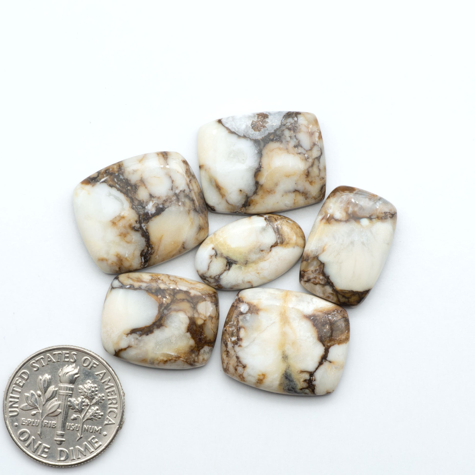 Wild Horse Magnesite cabochons, white gemstones with brown matrix on a white background, with a US dime for scale