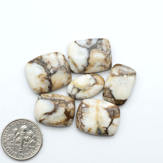 Wild Horse Magnesite cabochons, white gemstones with brown matrix on a white background, with a US dime for scale