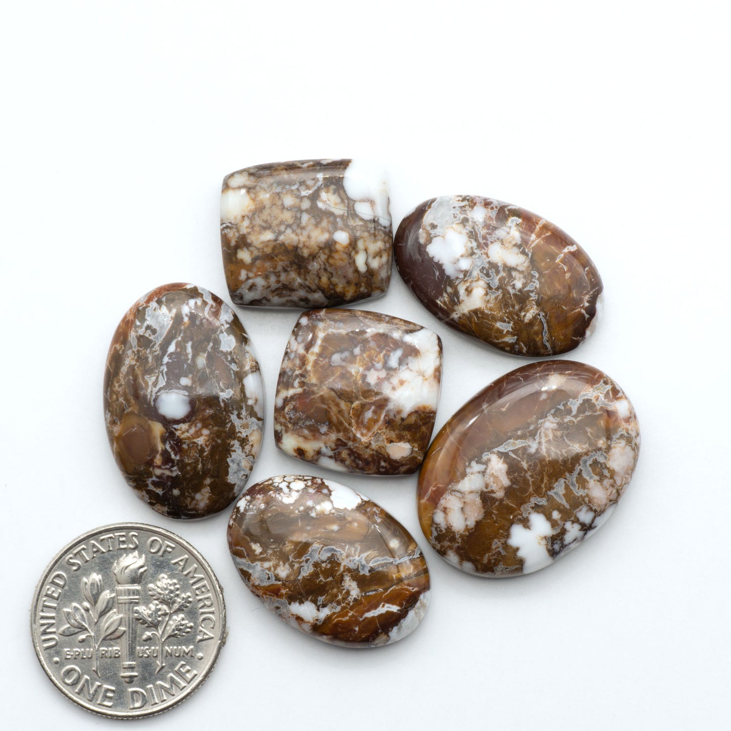 Wild Horse Magnesite cabochons, white gemstones with brown matrix on a white background, with a US dime for scale