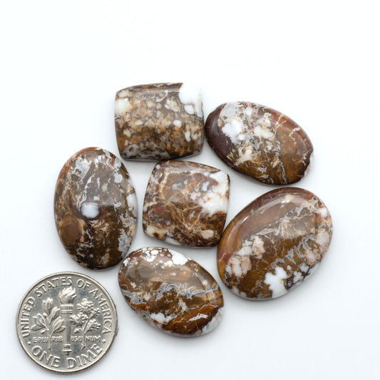 Wild Horse Magnesite cabochons, white gemstones with brown matrix on a white background, with a US dime for scale