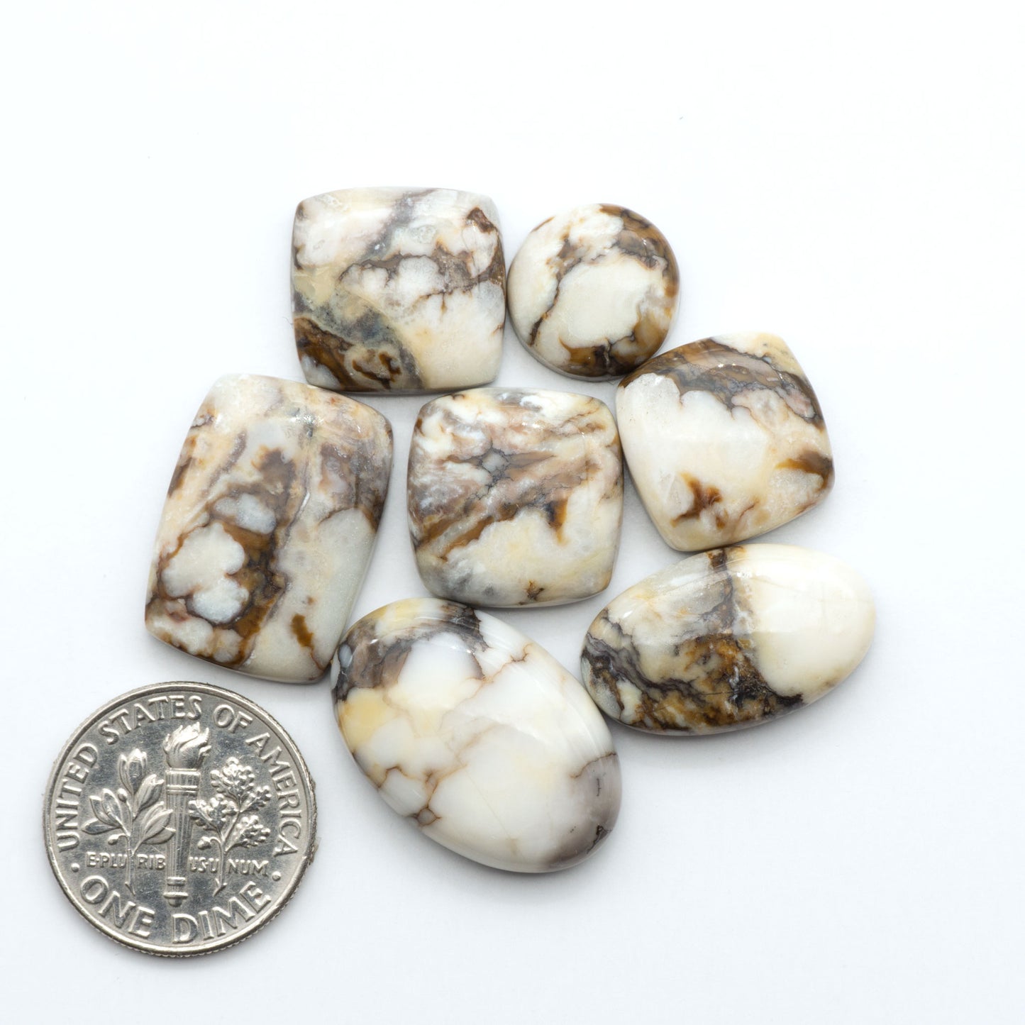 Wild Horse Magnesite cabochons, white gemstones with brown matrix on a white background, with a US dime for scale