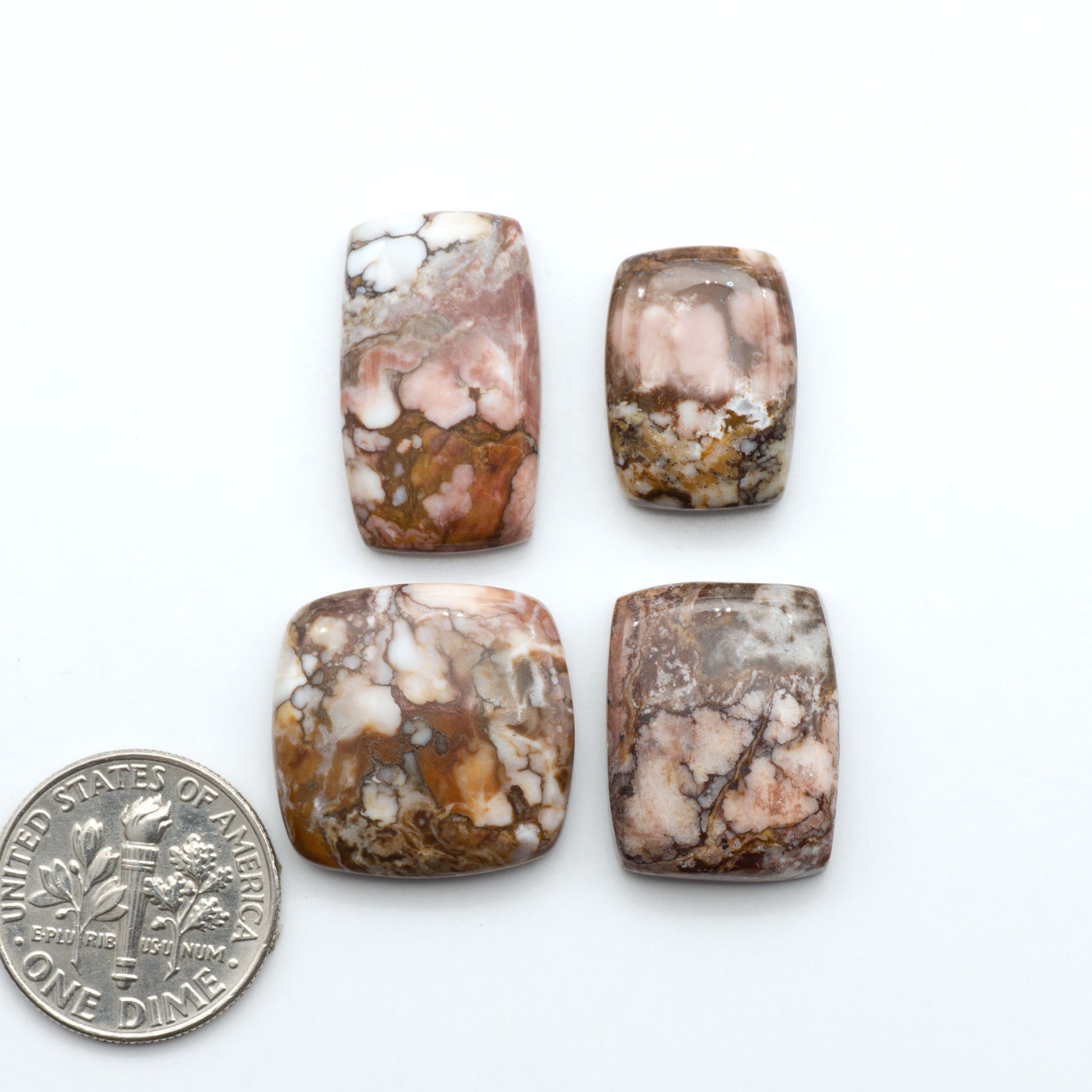 Wild Horse Magnesite cabochons, white gemstones with brown matrix on a white background, with a US dime for scale