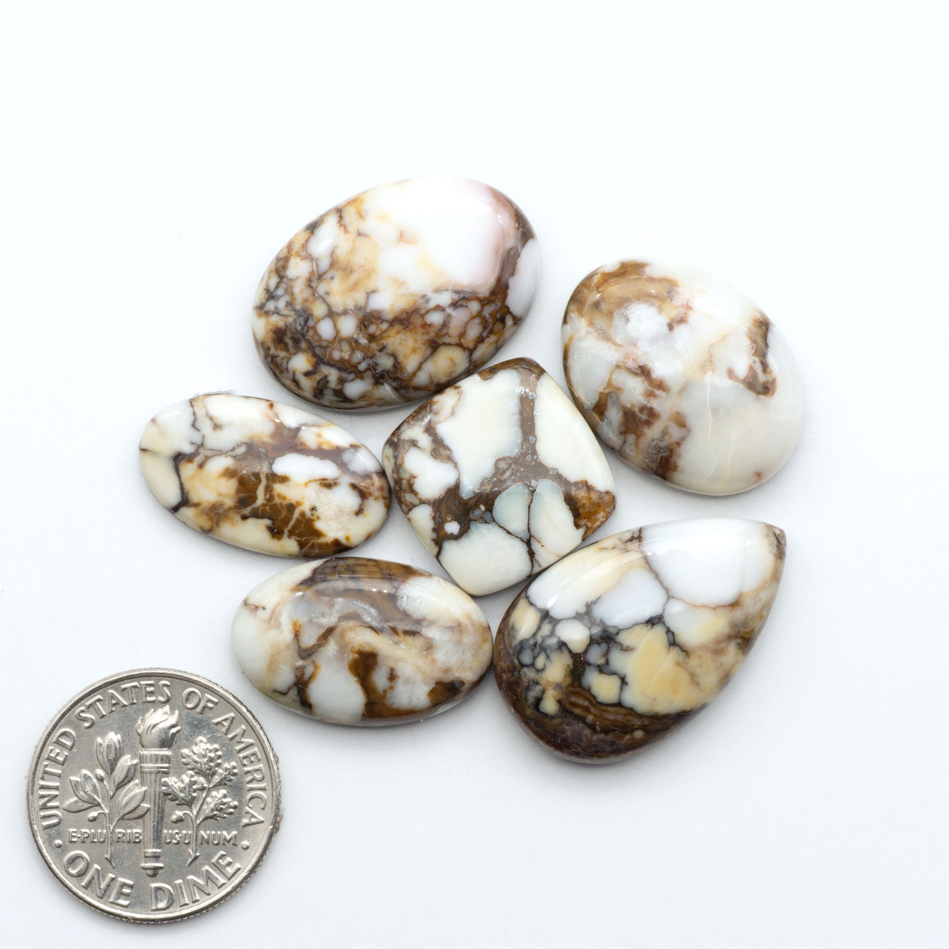 Wild Horse Magnesite cabochons, white gemstones with brown matrix on a white background, with a US dime for scale