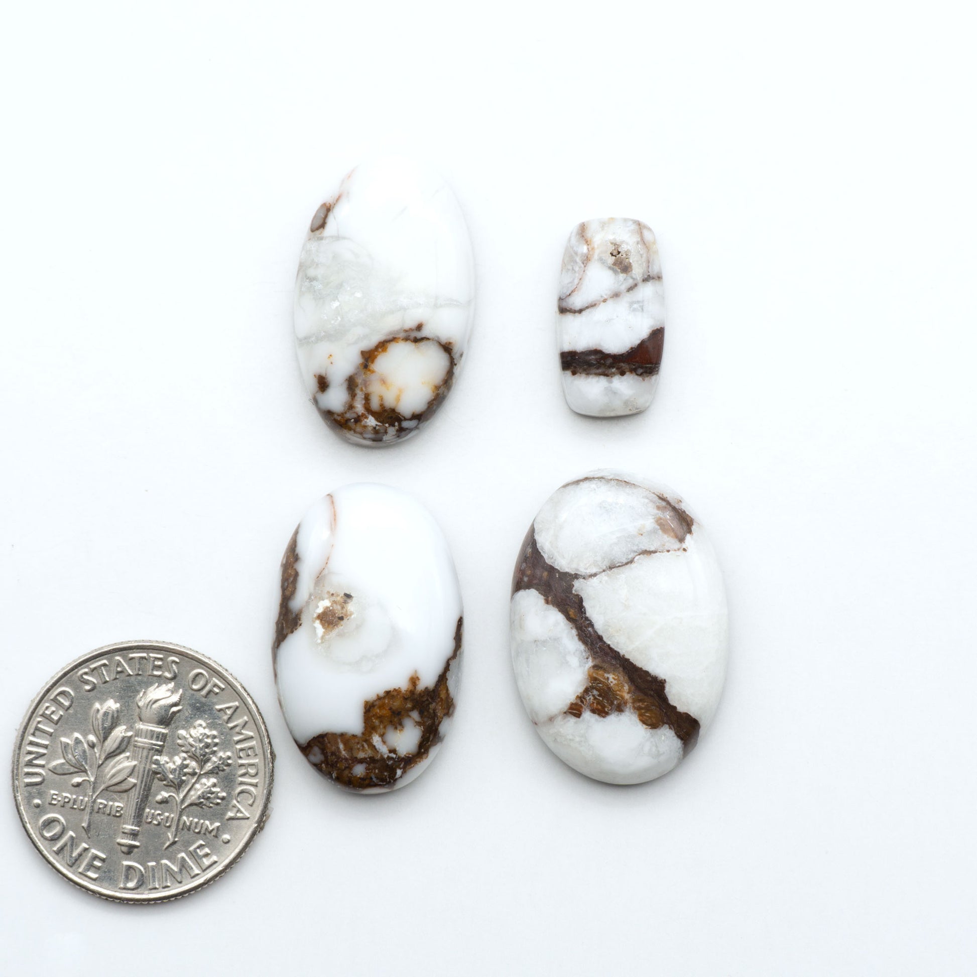 Wild Horse Magnesite cabochons, white gemstones with brown matrix on a white background, with a US dime for scale