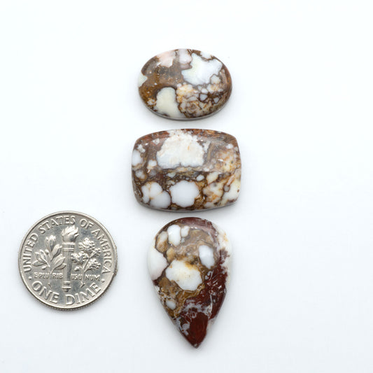 Wild Horse Magnesite cabochons, white gemstones with brown matrix on a white background, with a US dime for scale