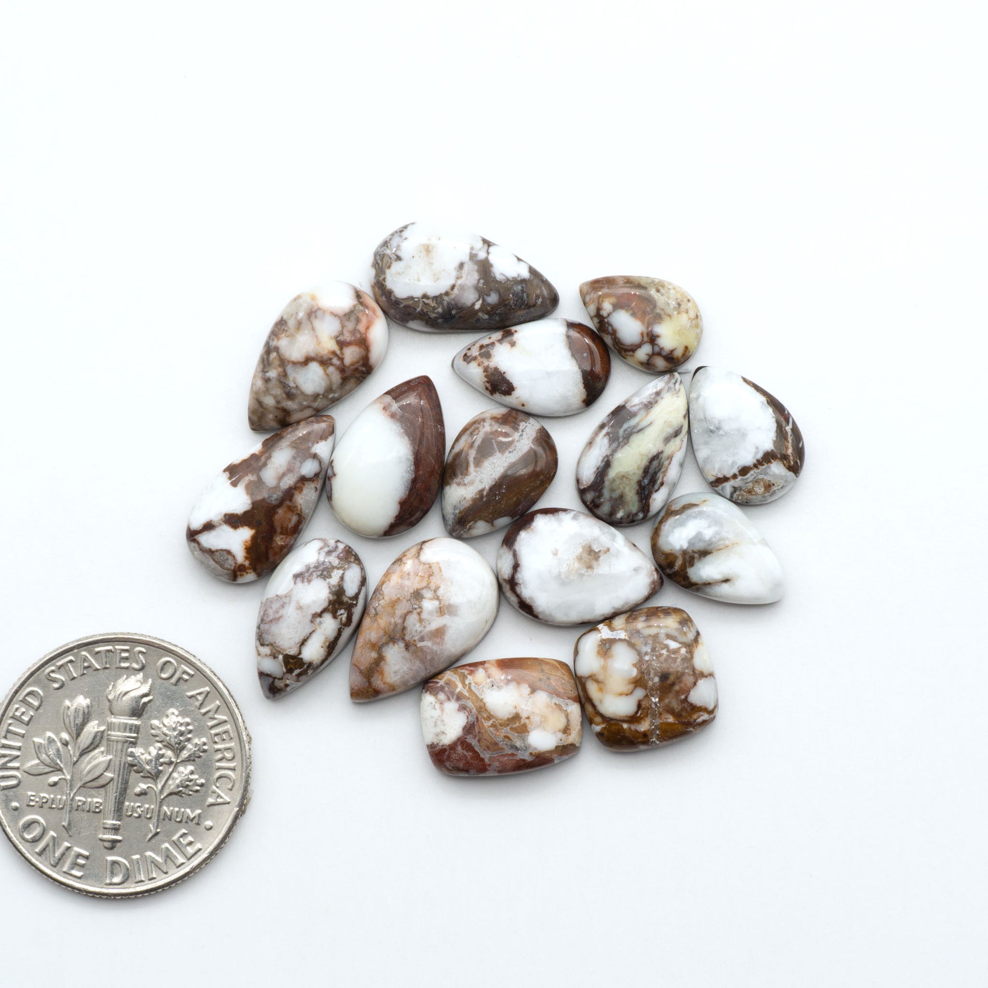 Wild Horse Magnesite cabochons, white gemstones with brown matrix on a white background, with a US dime for scale