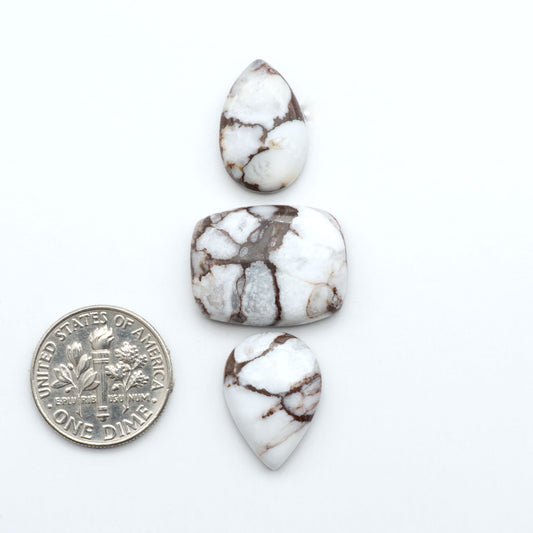 Wild Horse Magnesite cabochons, white gemstones with brown matrix on a white background, with a US dime for scale