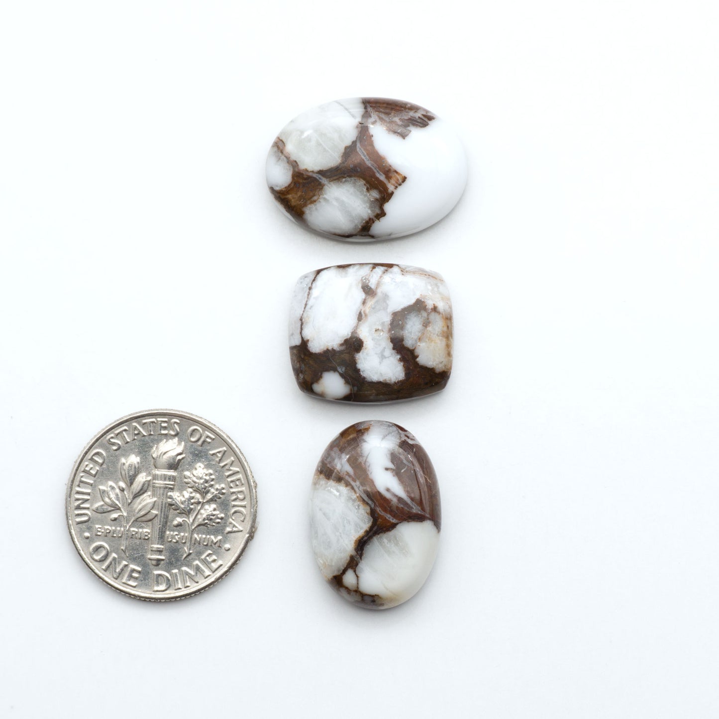 Wild Horse Magnesite cabochons, white gemstones with brown matrix on a white background, with a US dime for scale