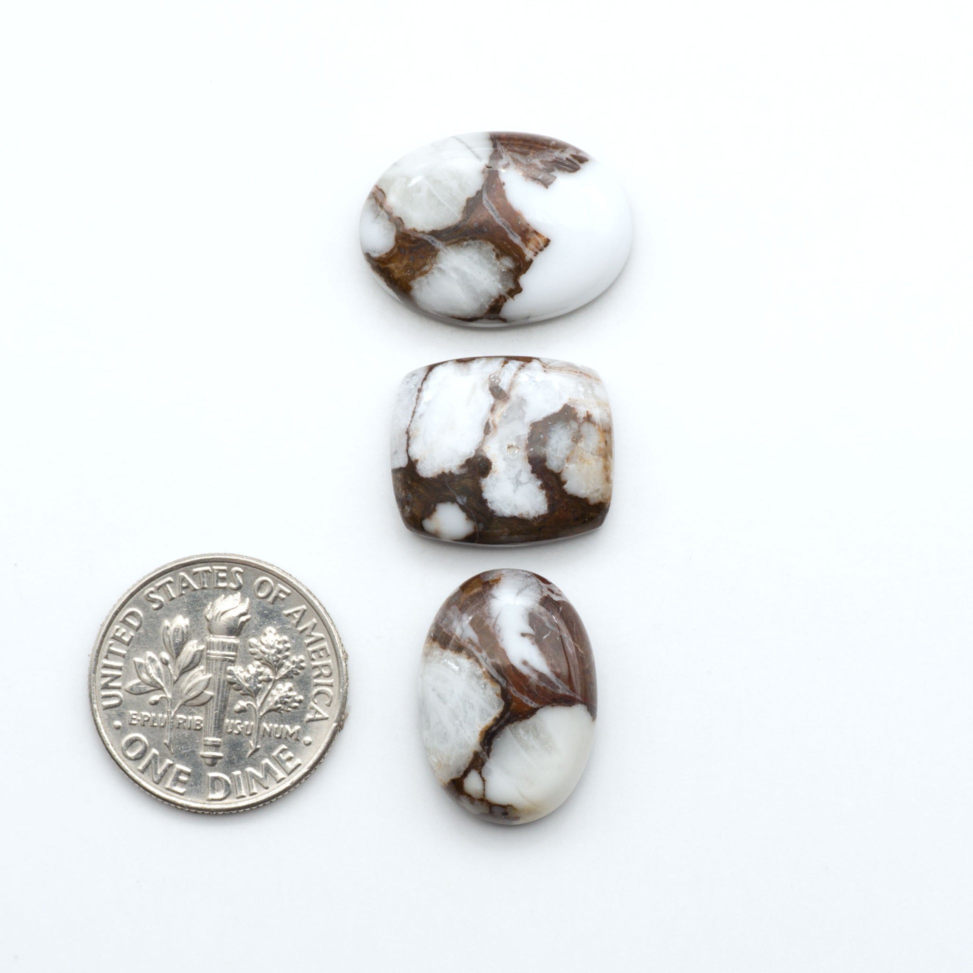 Wild Horse Magnesite cabochons, white gemstones with brown matrix on a white background, with a US dime for scale