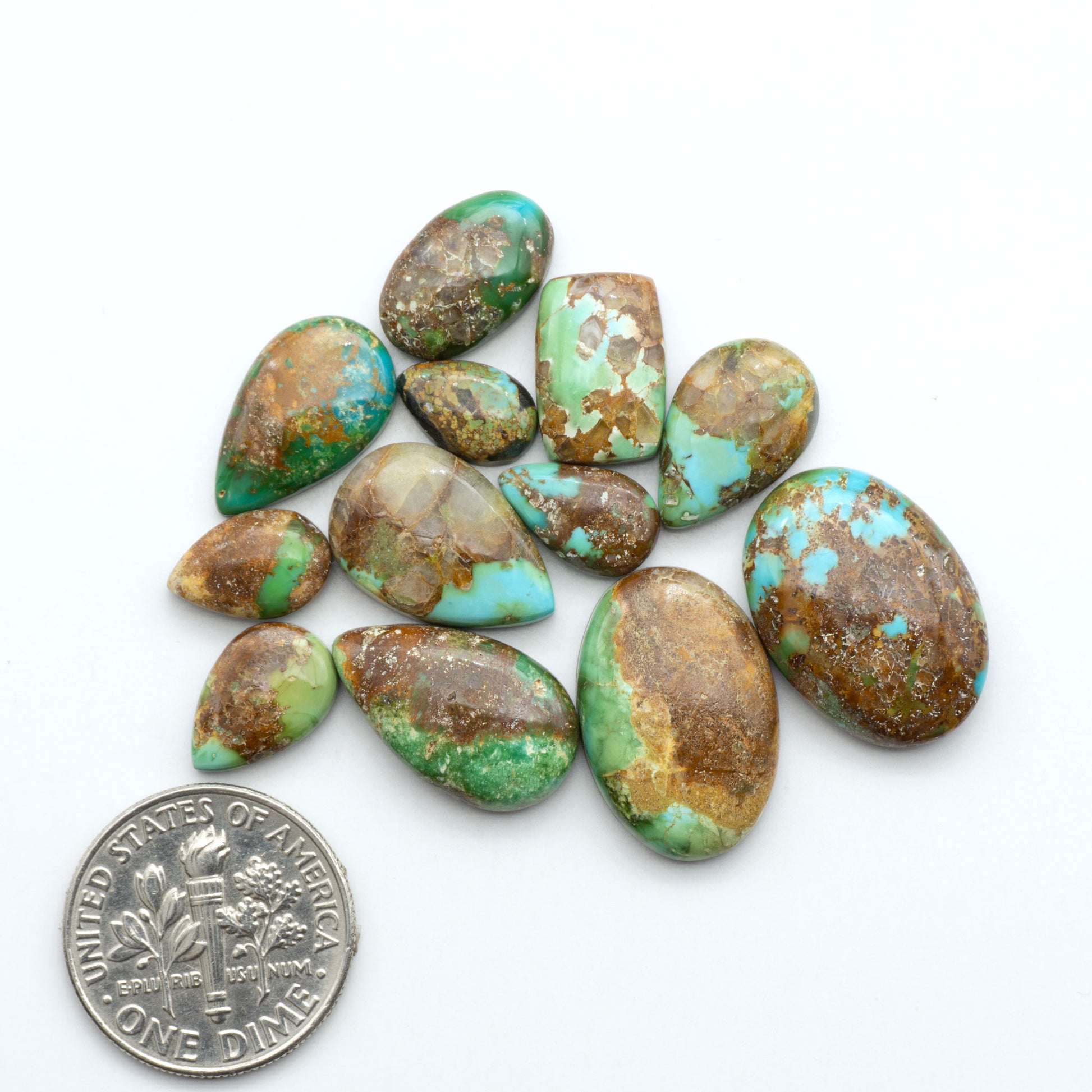 Sonoran Mountain Turquoise cabochons, blue-green color with natural matrix, polished stones on a white background, with a US dime for scale