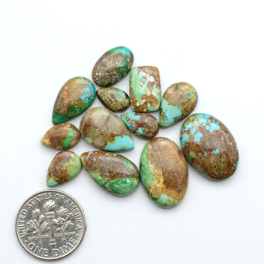 Sonoran Mountain Turquoise cabochons, blue-green color with natural matrix, polished stones on a white background, with a US dime for scale
