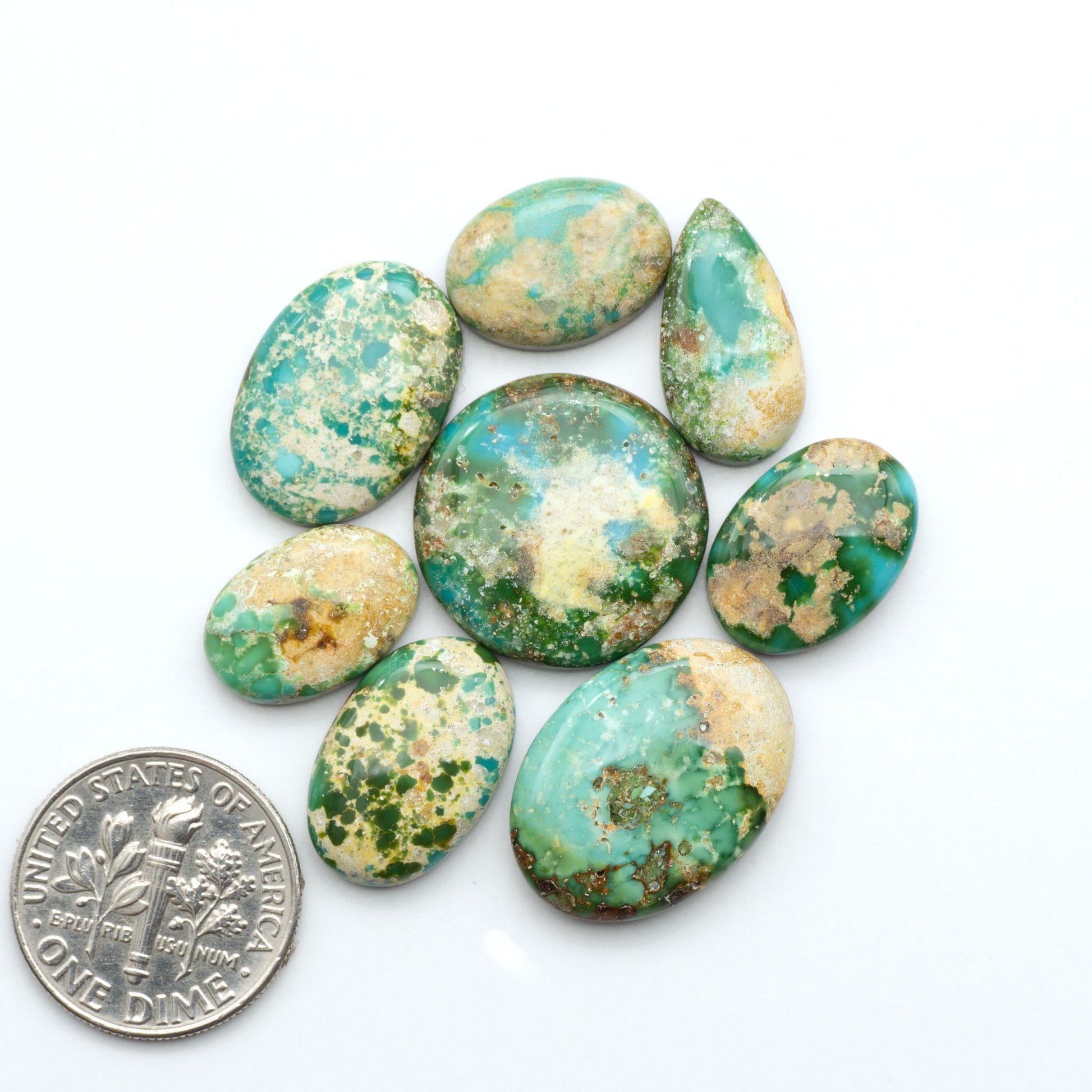 Sonoran Mountain Turquoise cabochons, blue-green color with natural matrix, polished stones on a white background, with a US dime for scale