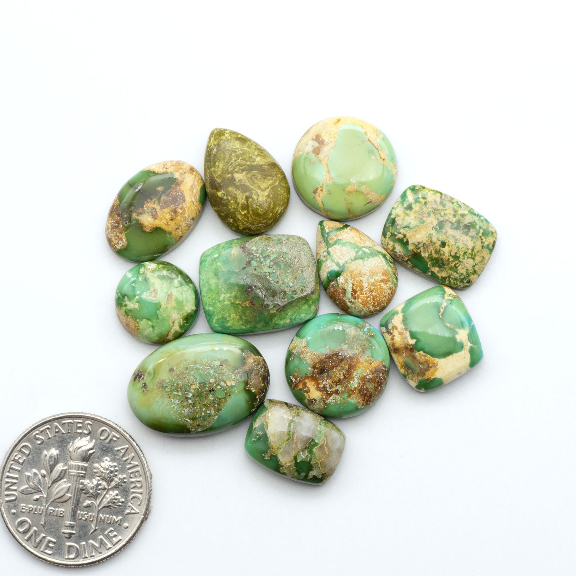 Sonoran Mountain Turquoise cabochons, blue-green color with natural matrix, polished stones on a white background, with a US dime for scale