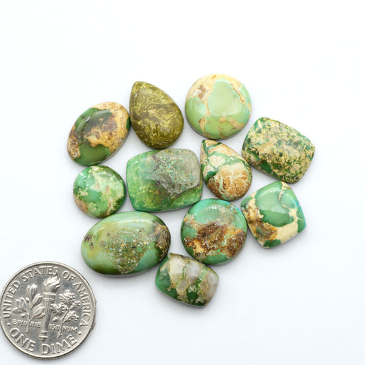 Sonoran Mountain Turquoise cabochons, blue-green color with natural matrix, polished stones on a white background, with a US dime for scale
