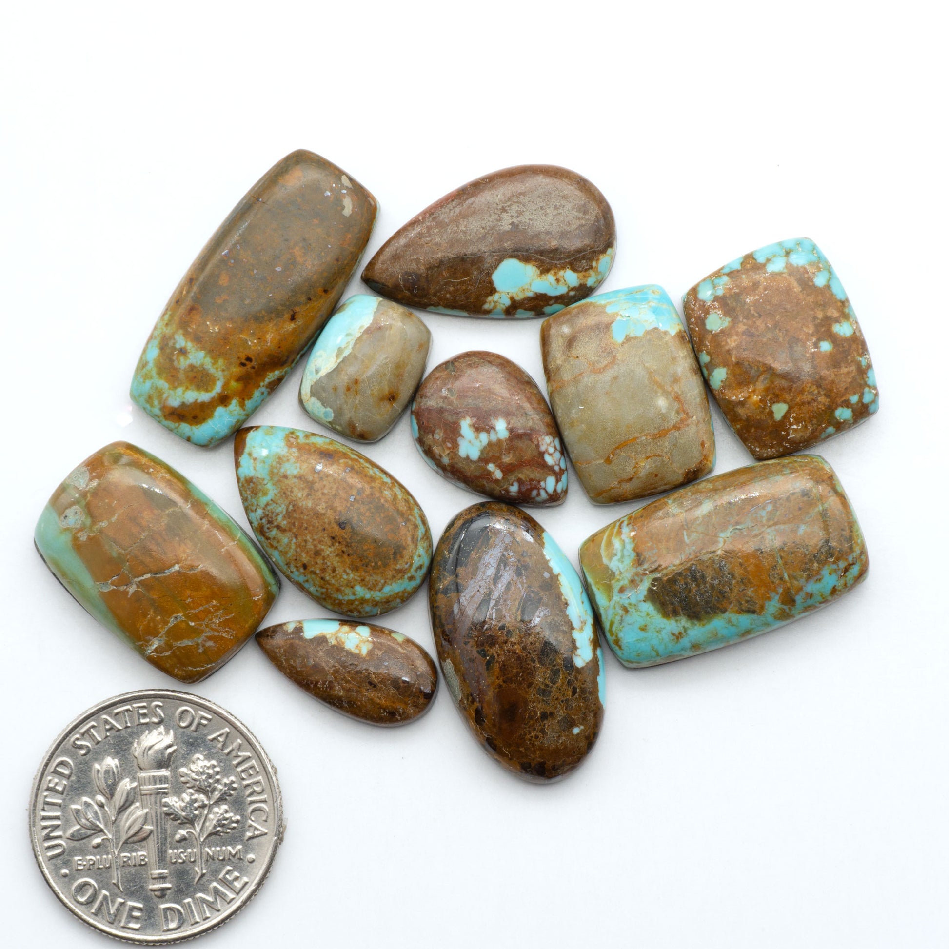 Number 8 Turquoise cabochons, blue and green color with brown matrix, polished stones on a white background, with a US dime for scale