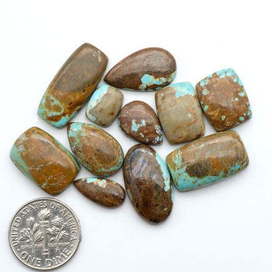 Number 8 Turquoise cabochons, blue and green color with brown matrix, polished stones on a white background, with a US dime for scale