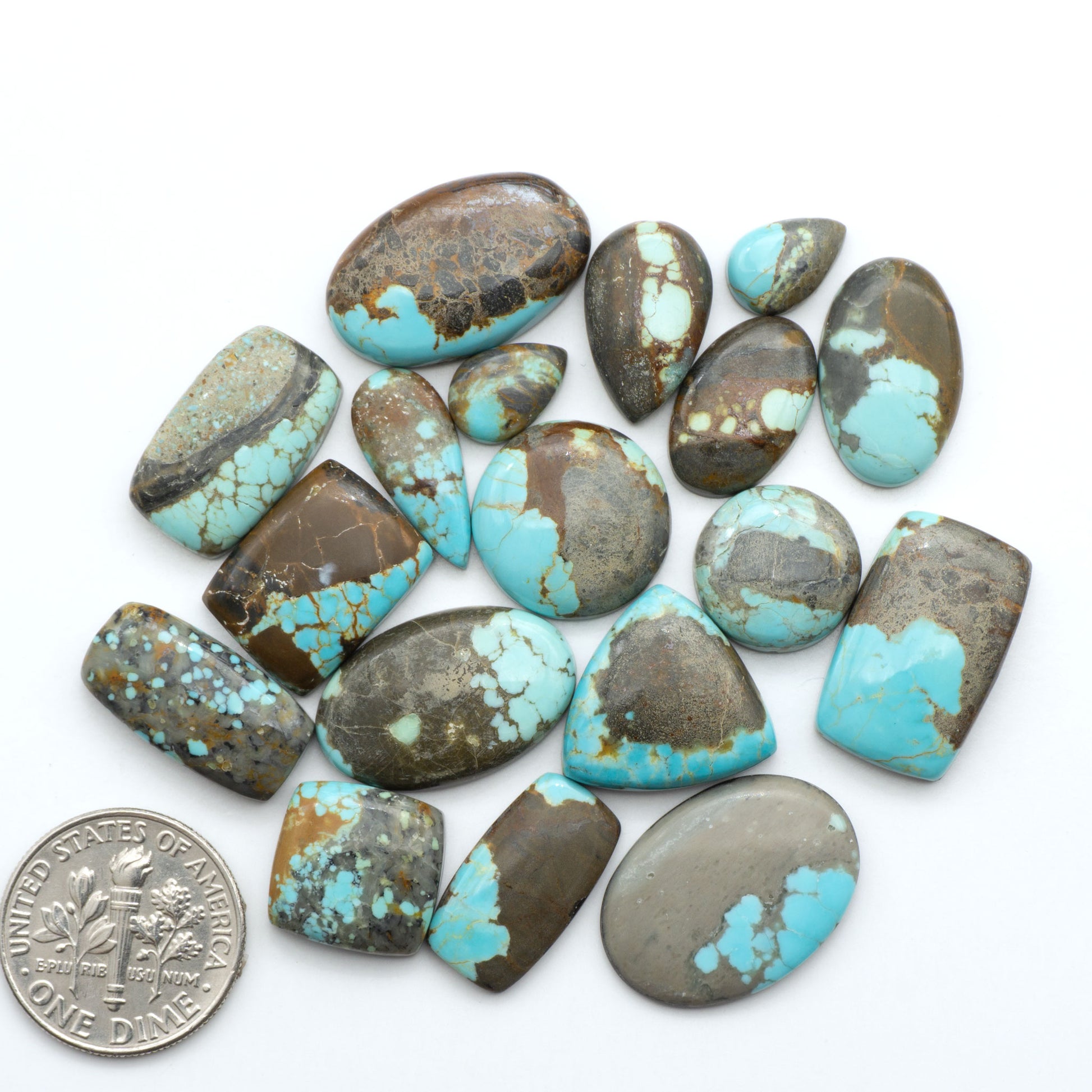 Number 8 Turquoise cabochons, blue and green color with brown matrix, polished stones on a white background, with a US dime for scale