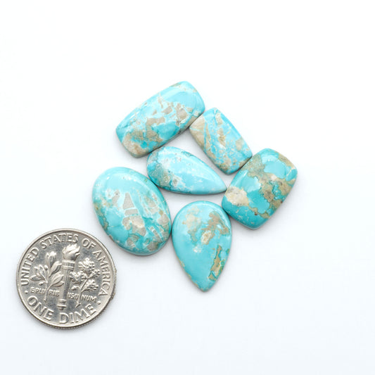 Fox Turquoise cabochons, polished gemstones with natural matrix on a white background, with a US dime for scale