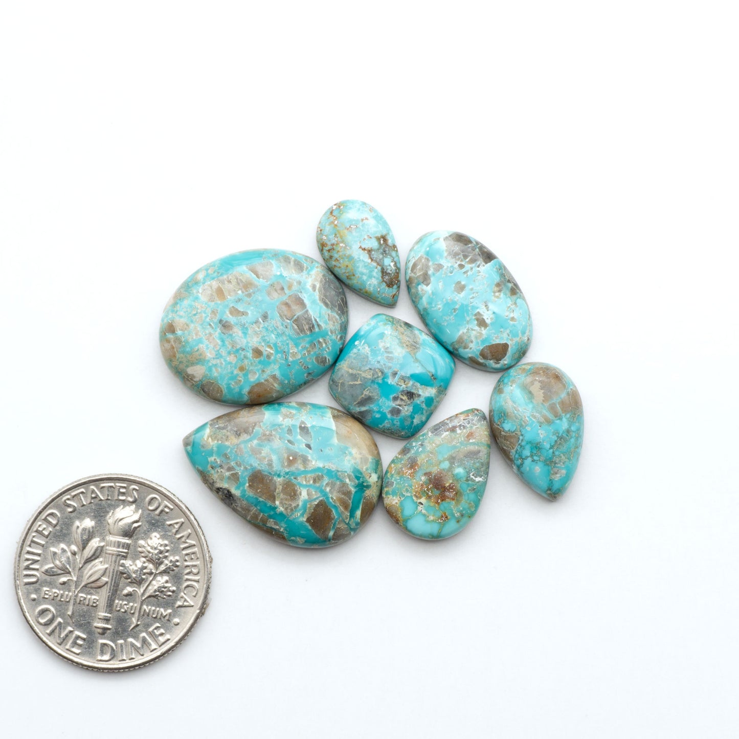 Fox Turquoise cabochons, polished gemstones with natural matrix on a white background, with a US dime for scale