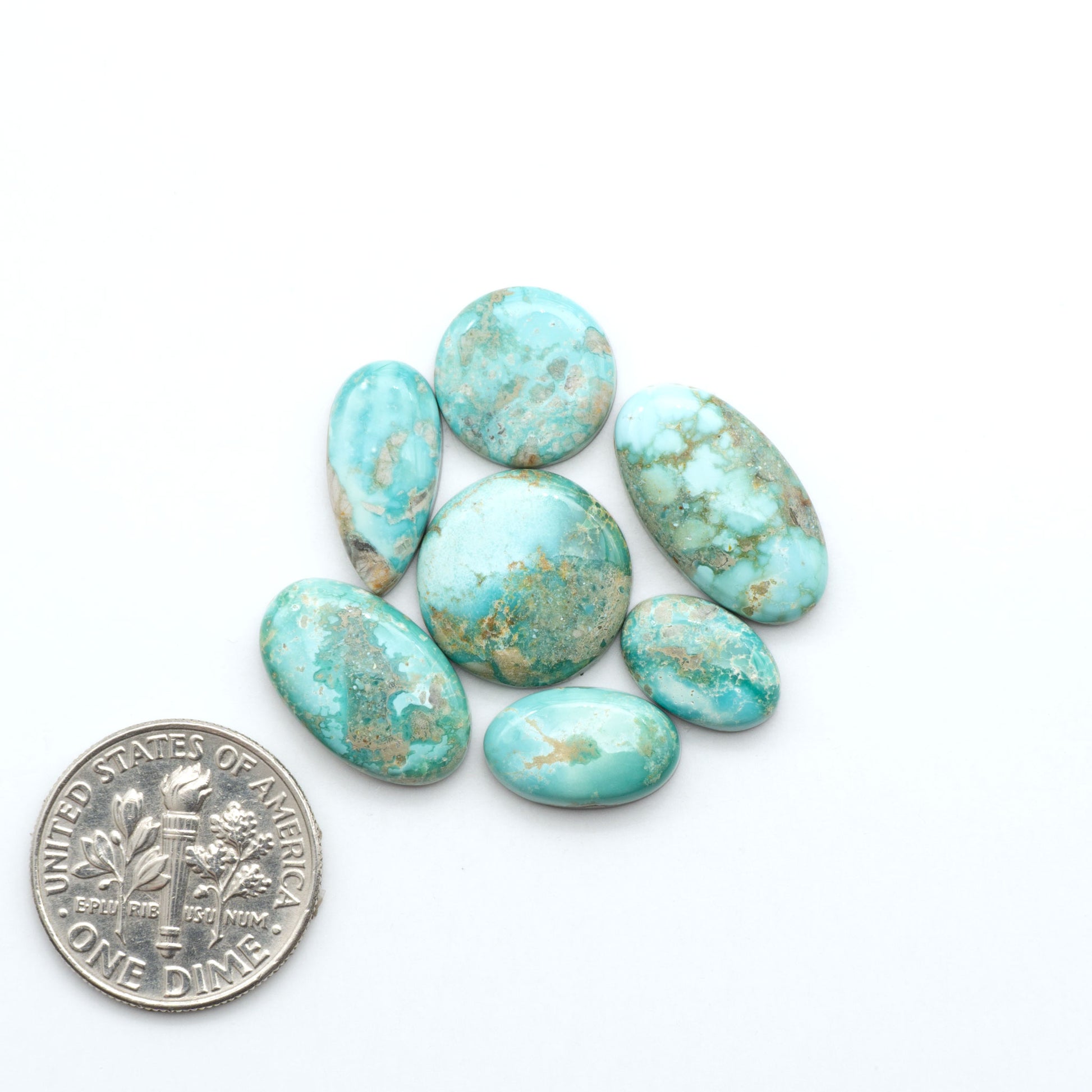 Fox Turquoise cabochons, polished gemstones with natural matrix on a white background, with a US dime for scale
