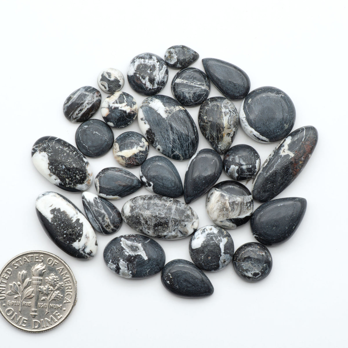White Buffalo stone cabochons, white stone with black matrix, polished stones on a white background, with a US dime for scale