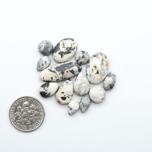 White Buffalo stone cabochons, white stone with black matrix, polished stones on a white background, with a US dime for scale