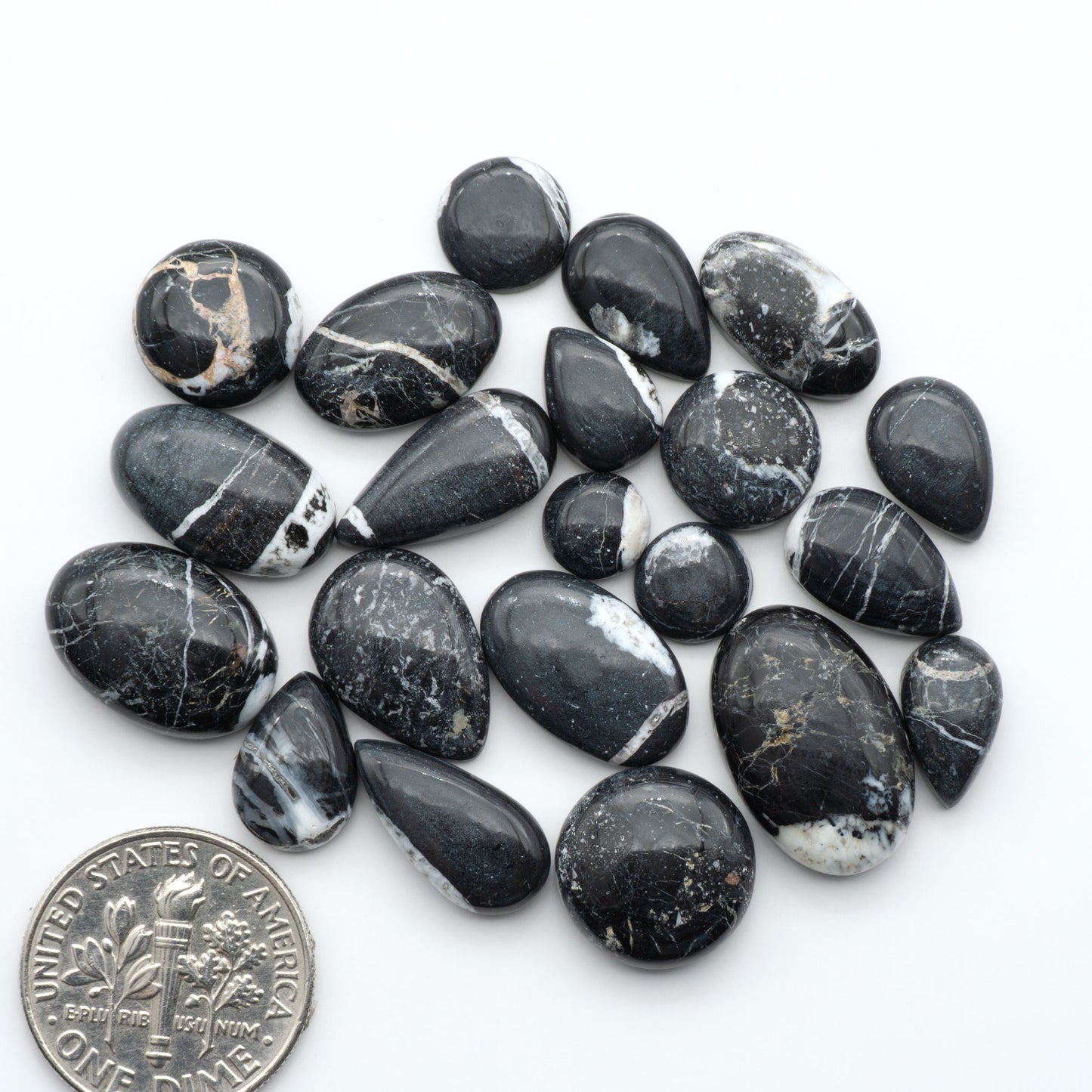 White Buffalo stone cabochons, white stone with black matrix, polished stones on a white background, with a US dime for scale