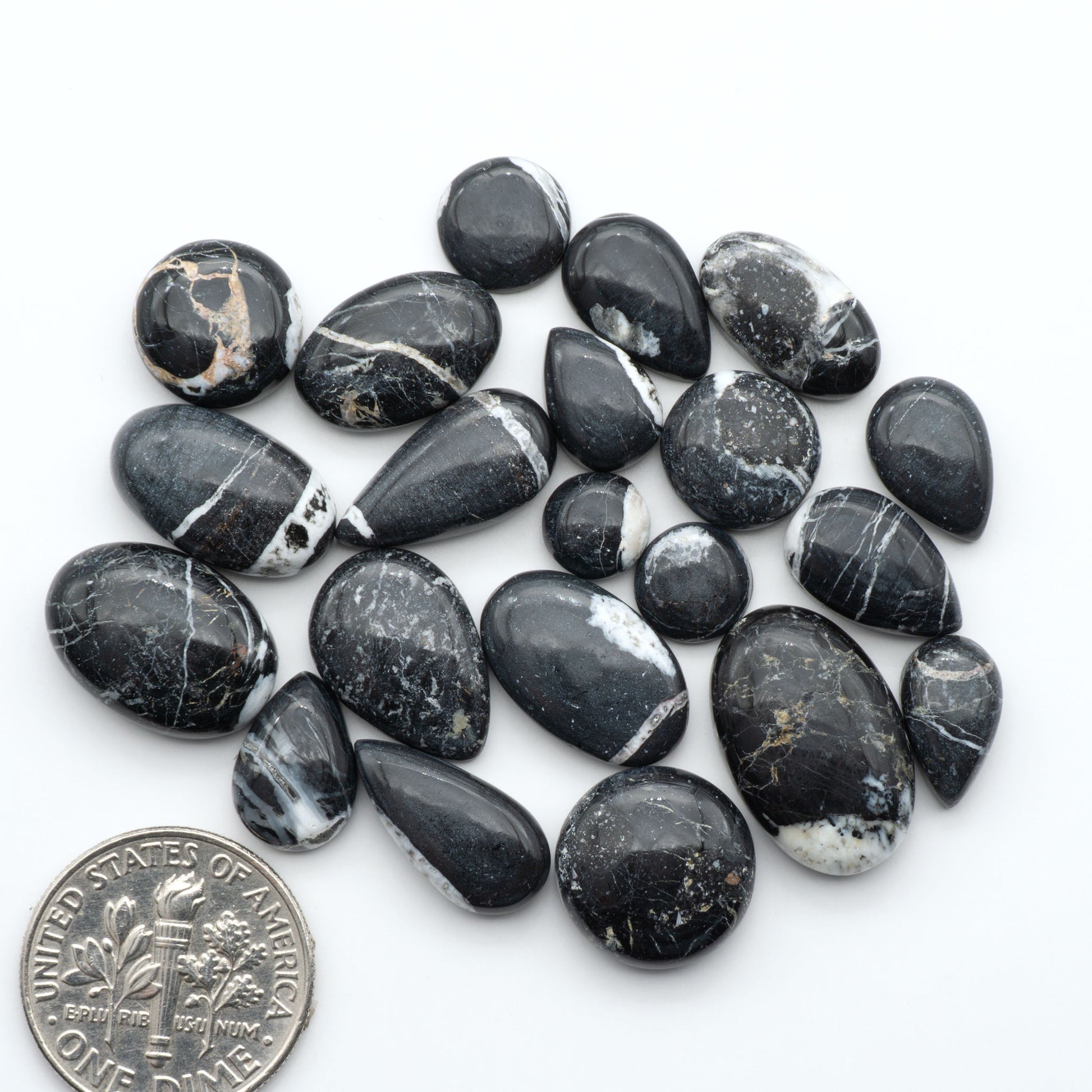 White Buffalo stone cabochons, white stone with black matrix, polished stones on a white background, with a US dime for scale