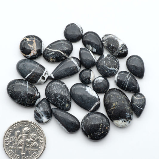 White Buffalo stone cabochons, white stone with black matrix, polished stones on a white background, with a US dime for scale