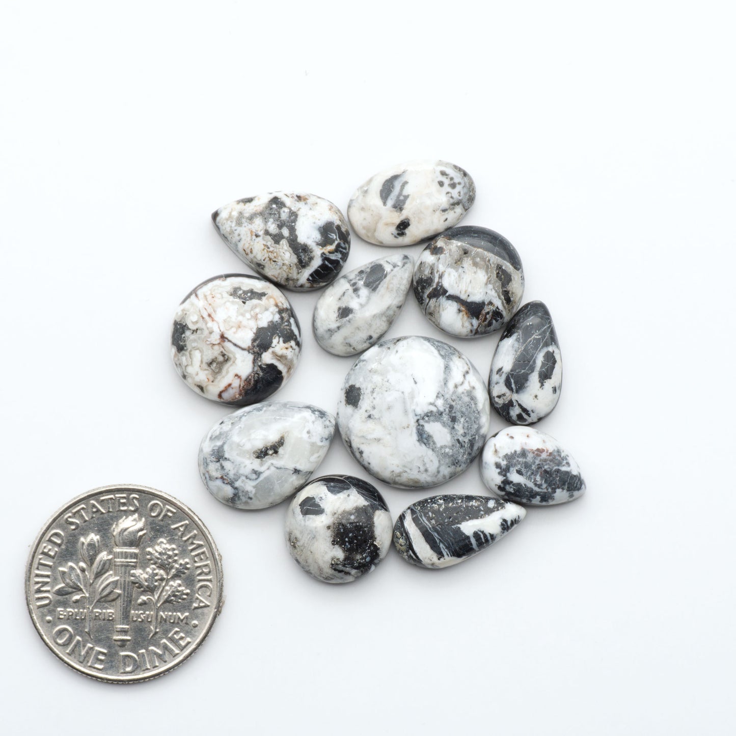 White Buffalo stone cabochons, white stone with black matrix, polished stones on a white background, with a US dime for scale