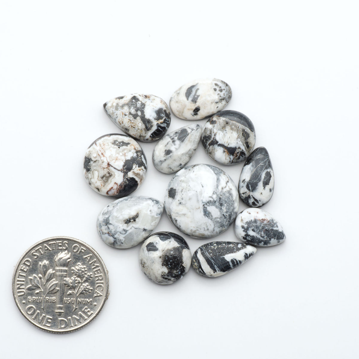 White Buffalo stone cabochons, white stone with black matrix, polished stones on a white background, with a US dime for scale