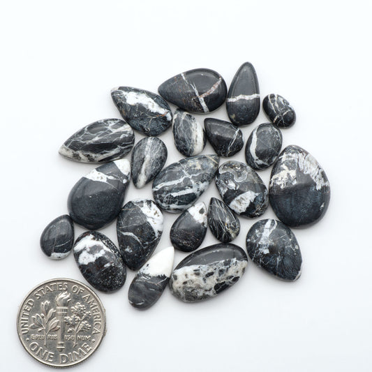 White Buffalo stone cabochons, white stone with black matrix, polished stones on a white background, with a US dime for scale