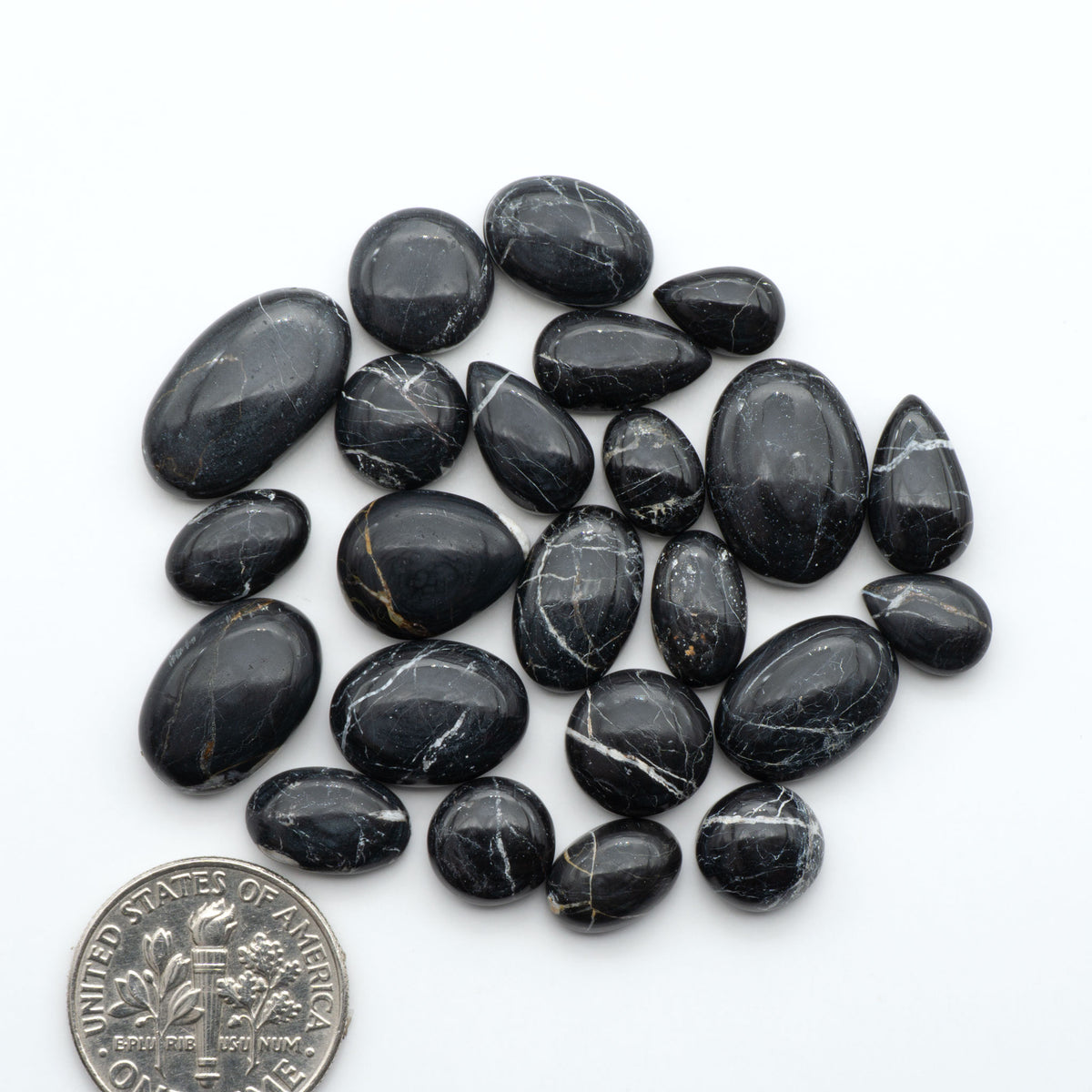 White Buffalo stone cabochons, white stone with black matrix, polished stones on a white background, with a US dime for scale