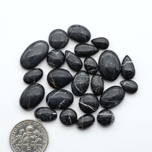 White Buffalo stone cabochons, white stone with black matrix, polished stones on a white background, with a US dime for scale