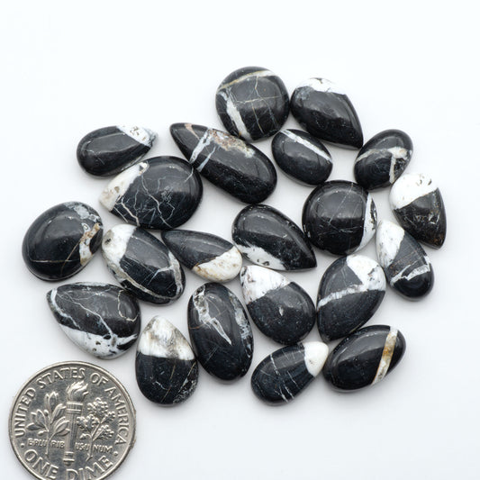 White Buffalo stone cabochons, white stone with black matrix, polished stones on a white background, with a US dime for scale