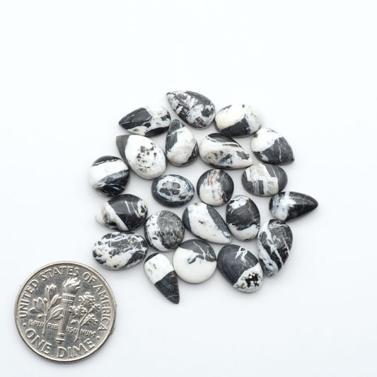 White Buffalo stone cabochons, white stone with black matrix, polished stones on a white background, with a US dime for scale